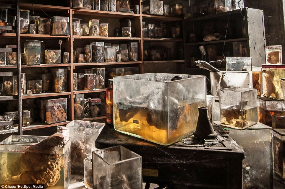 Một số người khi chứng kiến thí nghiệm hãi hùng tử thi đang chuẩn bị sống lại không khỏi kinh hãi, thậm chí có người ngất xỉu.