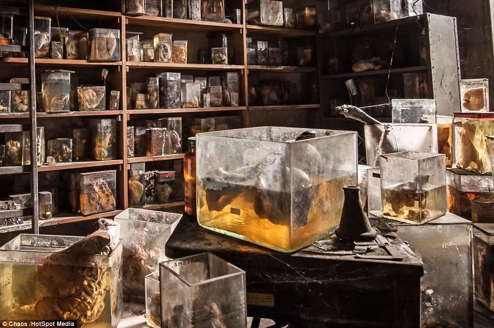 Một số người khi chứng kiến thí nghiệm hãi hùng tử thi đang chuẩn bị sống lại không khỏi kinh hãi, thậm chí có người ngất xỉu.