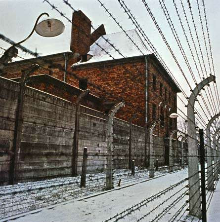 Nhiều tù nhân bao gồm cả phụ nữ và trẻ em tại trại tập trung Auschwitz-Birkenau trở thành đối tượng thí nghiệm phi nhân tính của bác sĩ Joseph Mengele. Đa số tù nhân chết khi tham gia thí nghiệm.