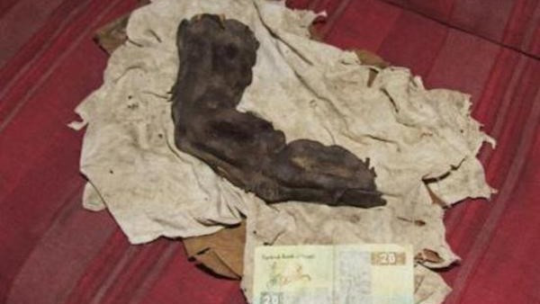 Trong chuyến đi tới Ai Cập năm 1985, nhiếp ảnh gia có tên Gregor Sporri đã chụp được bức ảnh bí ẩn về một ngón tay khổng lồ dài đến 38 cm.