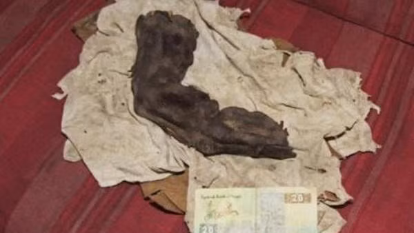 Trong chuyến đi tới Ai Cập năm 1985, nhiếp ảnh gia có tên Gregor Sporri đã chụp được bức ảnh bí ẩn về một ngón tay khổng lồ dài đến 38 cm.