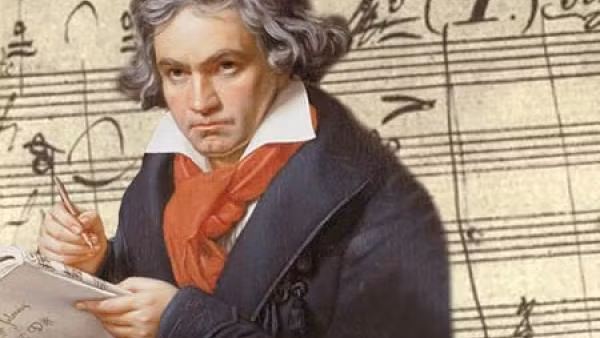 Cũng có người suy đoán Beethoven uống rượu vang chứa chì khiến ông bị nhiễm độc chì mà không hay biết.