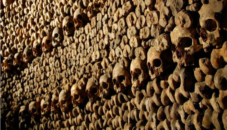 Vì vậy, nhiều người đã xuống hầm mộ Paris để trồng nấm. Theo đó, các trang trại trồng nấm được hình thành. Nhờ vậy, nghề trồng nấm phát triển mạnh khi đem về nguồn thu nhập không nhỏ cho người dân.