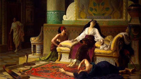 Trong nhiều tài liệu lịch sử, con rắn hổ mang cướp đi tính mạng của nữ hoàng Cleopatra đã được giấu trong giỏ quả sung khi được mang vào phòng của bà.