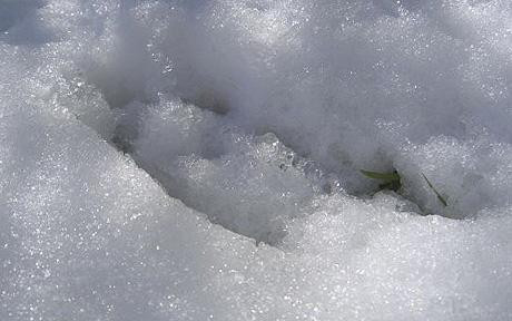 Dù giới chức trách đã vào cuộc tìm hiểu xem chuyện gì đã xảy ra nhưng cho đến nay họ vẫn chưa tìm ra lời giải cho những dấu chân bí ẩn xuất hiện trên tuyết trắng gây hoang mang dư luận.