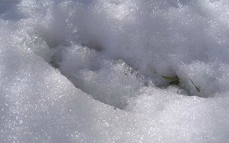 Dù giới chức trách đã vào cuộc tìm hiểu xem chuyện gì đã xảy ra nhưng cho đến nay họ vẫn chưa tìm ra lời giải cho những dấu chân bí ẩn xuất hiện trên tuyết trắng gây hoang mang dư luận.