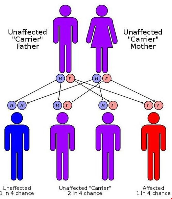 Đối với người da xanh thuộc gia tộc Fugate, sự rối loạn chuyển hóa MetHb và Hb trong máu tạo ra tỷ lệ MetHb cao bất thường. Đây là một rối loạn có tính di truyền.