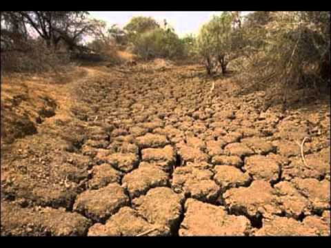 Theo các chuyên gia, hạn hán xảy ra từ Ấn Độ sau đó mở rộng sang các nước, khu vực khác bao gồm: Đông Á, châu Phi, Đông Nam Á và Australia.