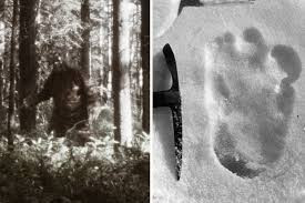 Theo nhiều tài liệu và báo cáo của các nhân chứng, người tuyết Yeti được mô tả là một sinh vật bí ẩn giống vượn, cao hơn chiều cao trung bình của con người.