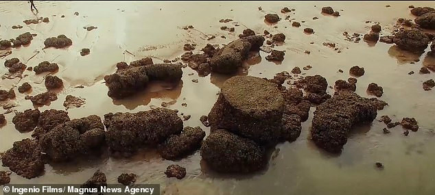 Trong suốt nhiều thập kỷ qua, các chuyên gia có gắng tìm kiếm vị trí cụ thể của thành phố Atlantis.