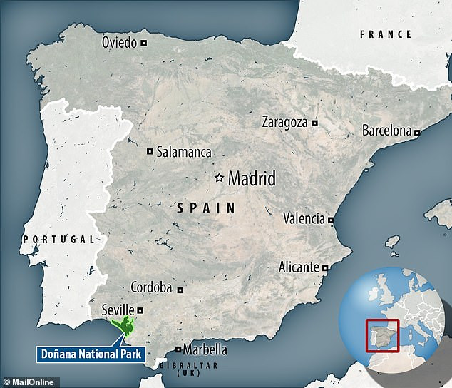 Tuy nhiên, cho đến nay giới chuyên gia vẫn chưa có bằng chứng chính xác về thành phố huyền thoại Atlantis có thật hay không và nếu có thật thì nằm ở nơi nào.