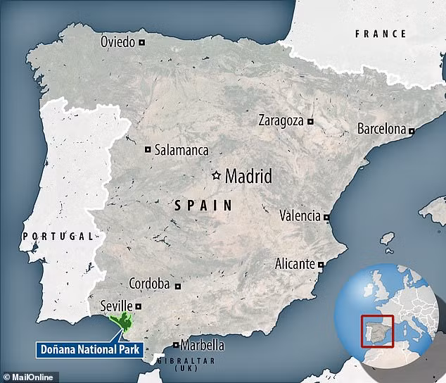 Tuy nhiên, cho đến nay giới chuyên gia vẫn chưa có bằng chứng chính xác về thành phố huyền thoại Atlantis có thật hay không và nếu có thật thì nằm ở nơi nào.