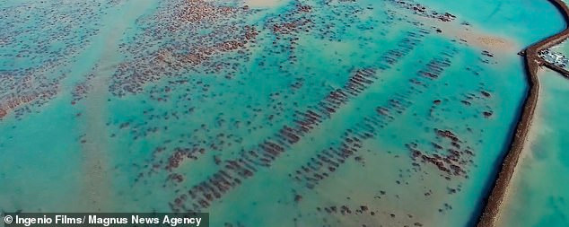 Theo Plato, thành phố Atlantis là nơi người Atlantean - con cháu của thần thánh - sinh sống cho tới kỷ nguyên Băng hà cuối cùng.