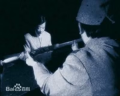 Sau khi có được Cửu Long bảo kiếm, Tôn Điện Anh đã giao nộp nó cho Đới Lạp để chuyển tới tay Tưởng Giới Thạch. Mục đích của Tôn Điện Anh là nhằm chạy tội, tránh rơi vào vòng lao lý.