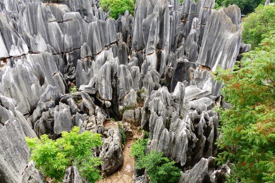 Vào thời nhà Minh, rừng đá Thạch Lâm trải dài trên diện tích khoảng 400 km2 được mệnh danh là "Kỳ quan đầu tiên của thế giới".