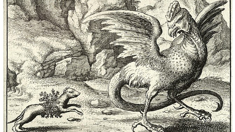 Một số giai thoại lại mô tả Basilisk trông giống một con rắn khổng lồ và không có cánh. Nó được sinh ra từ trứng của mãng xà và được một con gà trống ấp.