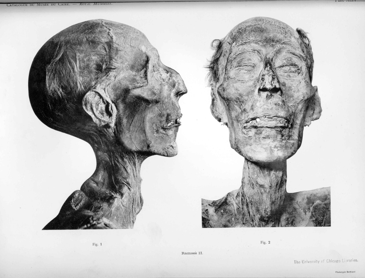 Vào năm 1974, các nhà Ai Cập học làm việc tại bảo tàng phát hiện xác ướp Ramesses II bị phân hủy ở tốc độ đáng báo động và quyết định chuyển tới Pháp để kiểm tra.