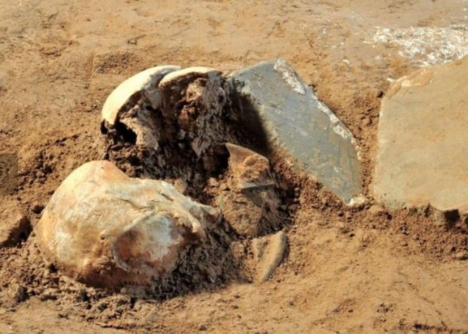 Kết quả cho thấy 3 bộ hài cốt gồm 1 nam giới và 1 phụ nữ. Trong số này, bộ hài cốt nam giới được các chuyên gia xác định qua đời khoảng 60 tuổi.