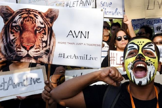 Ho du an thit nguoi vung Pandharkawad bi ban ha