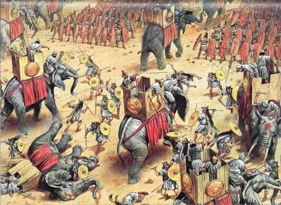 So với lực lượng của tướng Hannibal, Africanus của La Mã được đánh giá là yếu thế hơn và được dự đoán sẽ bại trận. Tuy nhiên, với lực lượng ít hơn, Africanus đã sử dụng chiến thuật cho binh sĩ thổi kèn, nổi trống khiến quân của Hannibal dao động và đàn voi hoảng sợ. Kết quả là nhiều binh sĩ của Hannibal bị voi dẫm chết.