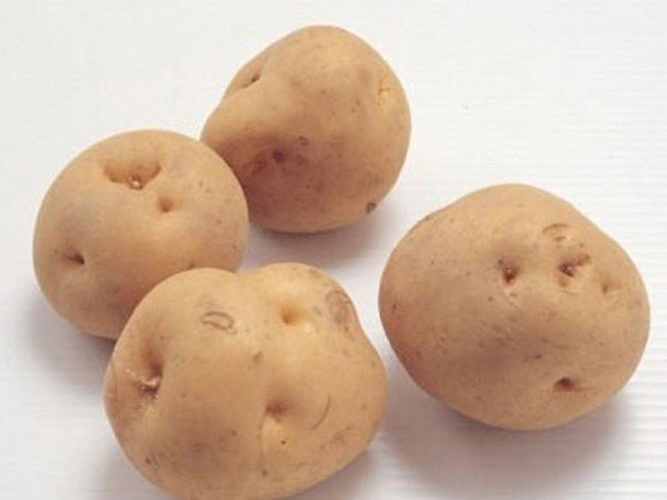 Khoai tây mọc mầm. Khoai tây mọc mầm chứa độc tố solanin. Chất này dễ gây ngộ độc, buồn nôn, nôn mửa, co giật khi đi vào cơ thể.