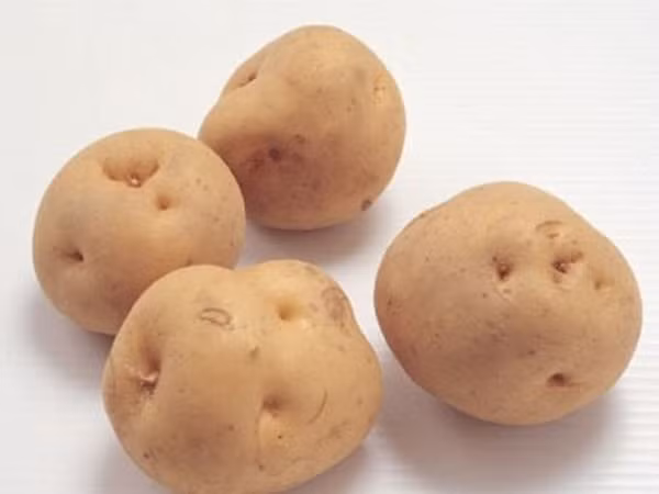 Khoai tây mọc mầm. Khoai tây mọc mầm chứa độc tố solanin. Chất này dễ gây ngộ độc, buồn nôn, nôn mửa, co giật khi đi vào cơ thể.