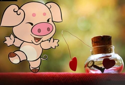 Tuổi Hợi đừng ngại phải cạnh tranh với tình địch, hãy tin tưởng vào bản thân, bạn sẽ có được tình yêu đích thực. Tuy nhiên trong công việc, con giáp này dễ nảy sinh cáu gắt, do đó càng dễ mắc sai sót. Bù lại, thành quả lao động chăm chỉ bao ngày đã được đền đáp xứng đáng bằng một khoản lợi nhuận lớn, hãy biết hài lòng với những gì mình có. (*Thông tin chỉ mang tính chất chiêm nghiệm, trắc nghiệm vui).