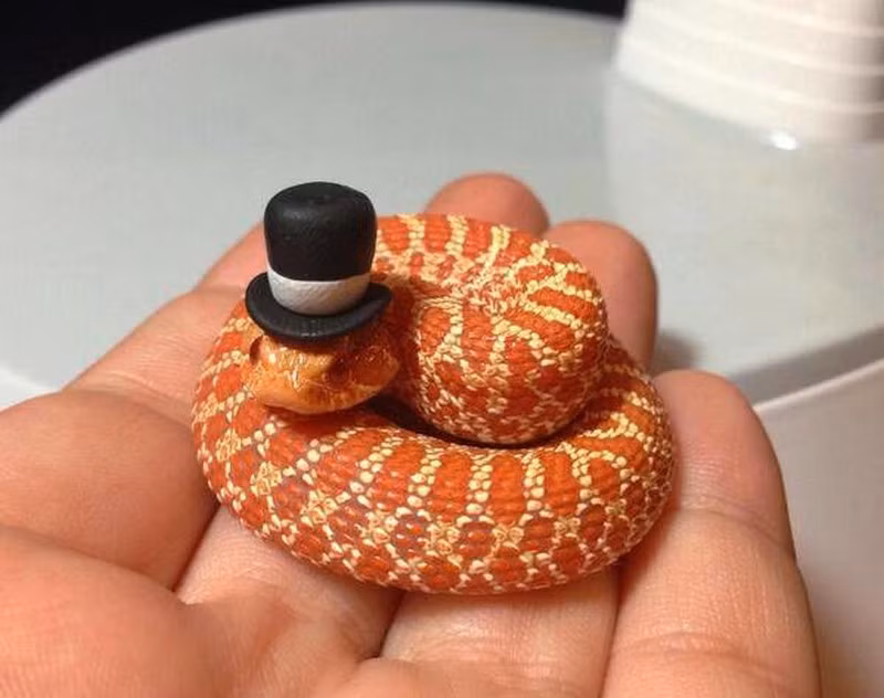 Tuổi Tỵ tràn đầy năng lượng, sự nghiệp suôn sẻ, tài vận vượng phát nên làm đâu trúng đó. Hôm nay cơ hội đầu tư đến giúp bạn rủng rỉnh tiền bạc. Tuy nhiên chuyện tình cảm cần xem xét lại, hãy dành thời gian bên nhau và trò chuyện.