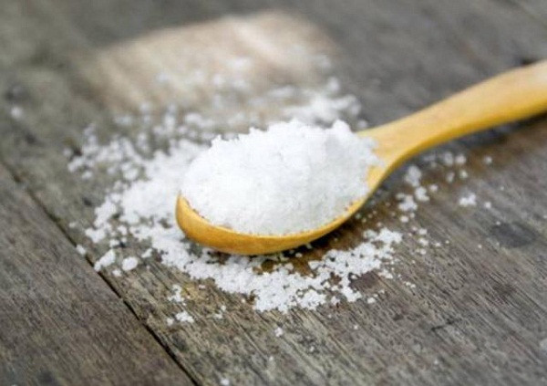 Nghi dich an mon nay nhieu, benh nhan chet tham vi xuat huyet nao