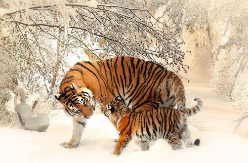 Tuổi Dần có ý chí chiến thắng mạnh mẽ, biết cách điều chỉnh bản thân để cầu tiến. Từ cuối tháng 3 đến đầu tháng 4, con giáp có cát tinh chiếu mệnh, được lòng tin của cấp trên, có nhiều cơ hội hái ra tiền.