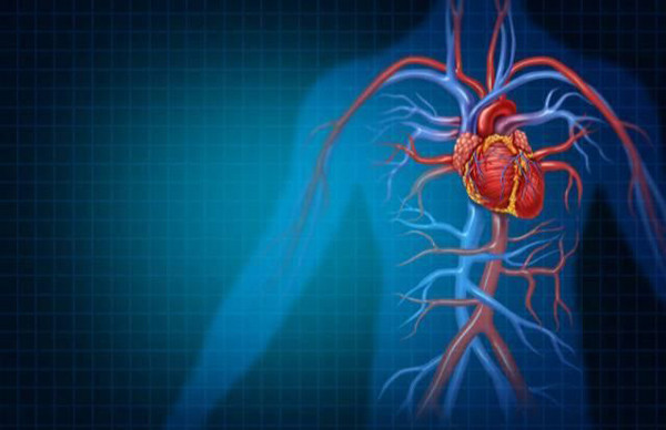 Bên cạnh đề cập đến tư thế đi có vấn đề, chuyên gia cũng nhấn mạnh đi bộ thường xuyên có thể tăng cường trao đổi chất, bảo vệ sức khỏe.