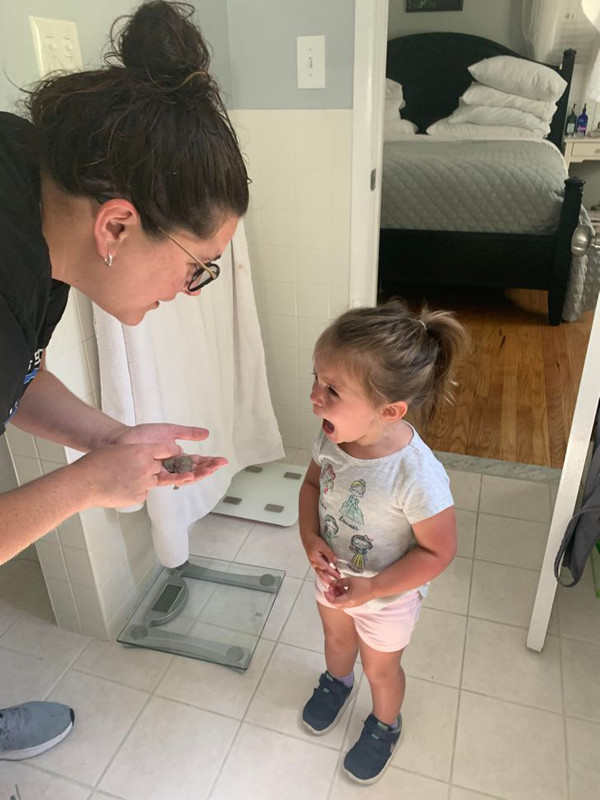 Trẻ muốn đạt được điều mình muốn. một số trường hợp, cơn giận dữ không đơn giản là phản xạ tự nhiên của con trước mặt bạn. Rất có thể trẻ đang muốn thao túng bậc sinh thành để đạt được những gì mình muốn.