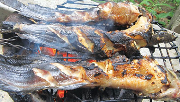 Nghiên cứu chỉ ra rằng, những người thích món chiên, hun khói, nướng có tỷ lệ mắc khối u biểu mô đường tiêu hóa cao hơn bình thường. Dầu mỡ cũng không hề tốt cho bệnh nhân tim mạch. Do vậy, để bảo vệ sức khỏe tốt nhất bạn nên hạn chế chúng.