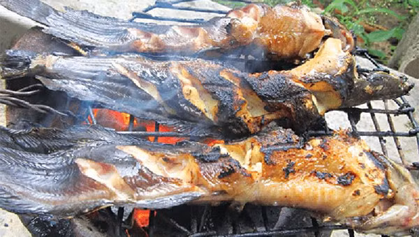 Nghiên cứu chỉ ra rằng, những người thích món chiên, hun khói, nướng có tỷ lệ mắc khối u biểu mô đường tiêu hóa cao hơn bình thường. Dầu mỡ cũng không hề tốt cho bệnh nhân tim mạch. Do vậy, để bảo vệ sức khỏe tốt nhất bạn nên hạn chế chúng.