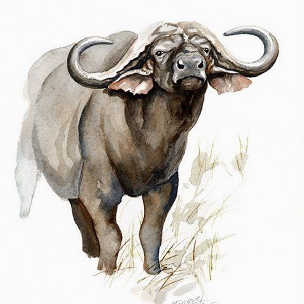 Tuổi Sửu không đặc biệt thông minh nhưng luôn làm việc chăm chỉ, nhờ vậy kiếm được nhiều tiền hơn những con giáp khác, như câu nói "cần cù bù thông minh". Nhiều điều trong cuộc sống không chỉ phụ thuộc vào đầu óc thông minh, mà còn là sự kiên trì, tự tin và nỗ lực hơn nữa.