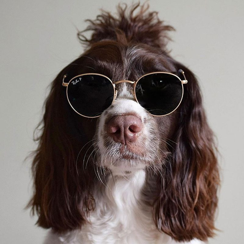 Tuổi Tuất có khả năng phán đoán và ra được quyết định táo bạo từ đó thu về được dự án lớn, cấp trên khen thưởng. Tuy nhiên sự cạnh tranh giữa các đồng nghiệp cũng không nhỏ, khối lượng nhiệm vụ lớn khiến con giáp bị áp lực. Chuyện tình cảm tốt đẹp, đặc biệt tuổi Tuất là nữ có cơ hội tìm được người mới.