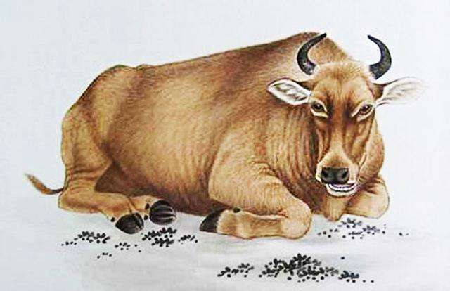 Cũng theo dự đoán cho 12 con giáp, nửa đầu tuần tuổi Sửu có một số áp lực trong công việc, cần điều chỉnh thái độ và chủ động ứng phó, tránh chậm trễ. Con giáp có cơ hội kiếm thêm thu nhập từ thứ 5, nên giảm bớt chi tiêu không cần thiết. Tình cảm của các chàng trai tuổi Sửu tốt hơn vào cuối tuần. Tuy nhiên các chị em tuổi Sửu lại có chút khó chịu với người ấy.