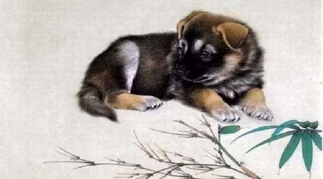  Tuổi Tuất: Từ năm nay, tuổi Tuất hết xui xẻo, thoát vận mệnh tầm thường mà trở nên giàu sang, phú quý, đầy đủ của cải để sống cuộc sống sung túc lâu dài.