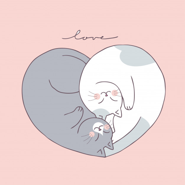 Tuổi Mão đang kiếm tiền dễ dàng hơn so với những con giáp khác. Trong tuần này bạn có cơ hội phát huy hết sở trường của mình và gặt hái thành quả ấn tượng. Tuy nhiên con giáp nên thận trọng trong giao tiếp, khiêm tốn hơn.