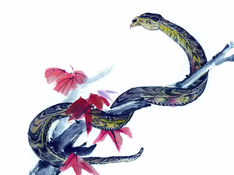 Tuổi Tỵ rất nhạy bén với thời cuộc, vì vậy luôn nắm bắt được cơ hội kinh doanh, đầu tư. Chưa kể tài năng và sự chăm chỉ của con giáp khiến lãnh đạo luôn tin tưởng, con đường công danh vì thế luôn rộng mở. Chăm chỉ và có khả năng kiếm tiền tốt, không có gì lạ khi con giáp luôn đứng đầu danh sách kiếm tiền.