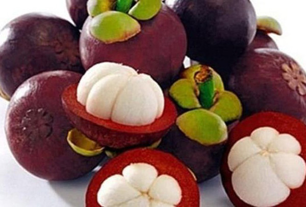 Măng cụt. Được xem là một loại quả rất giàu dinh dưỡng với các vitamin như B1, C, chất đạm, chất béo, chất xơ, canxi, phốt pho, sắt… Măng cụt còn có chứa hỗn hợp kháng thể Xanthones thiên nhiên có khả năng diệt khuẩn.