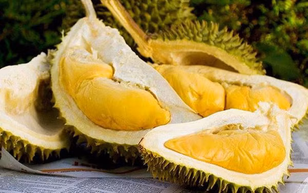 Với lượng calo cao, sầu riêng có thể khiến cơ thể bị nóng, khó có thể hấp thụ hết trong thời gian ngắn. Điều này làm tăng gánh nặng cho dạ dày khi ngủ, ảnh hưởng đến thời gian nghỉ ngơi.