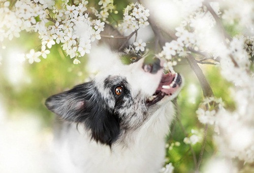 Tuổi Tuất cảm thấy không thoải mái với cách quản lý hiện nay, dẫn đến mâu thuẫn, bất lợi cho việc điều phối nhân sự. Bạn chỉ cần điều chỉnh giao tiếp, những vấn đề này có thể được giải quyết mà không cần quá lo lắng.