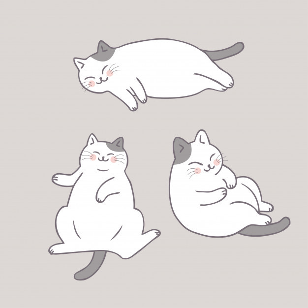 Cảm giác bó buộc khiến tuổi Mão hơi mất hứng thú. Chỉ cần bớt ngồi viễn vông và bắt tay vào hành động, công việc sẽ tiến triển. Được đà kiếm tiền, bạn sẽ nỗ lực và nhanh chóng có được một khoản đáng kể.