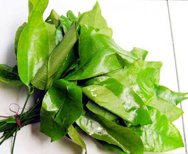 Rau rừng được hiểu là những loại cây mọc hoang, không cần trồng thủ công. Hạt giống được gió và động vật phát trán mọc tự nhiên, người ăn chỉ việc hái. Tuy nhiên do nhu cầu ngày càng cao, rau rừng giờ cũng được trồng, chăm sóc để đáp ứng thị trường. Chính bởi được canh tác nên mùi vị của chúng cũng không được “thuần khiết” như ban đầu.