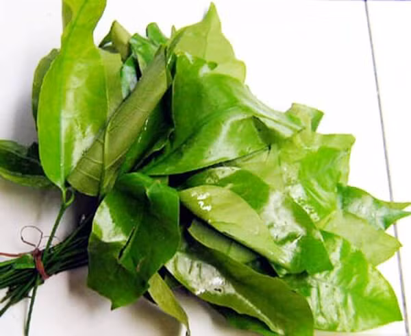 Rau rừng được hiểu là những loại cây mọc hoang, không cần trồng thủ công. Hạt giống được gió và động vật phát trán mọc tự nhiên, người ăn chỉ việc hái. Tuy nhiên do nhu cầu ngày càng cao, rau rừng giờ cũng được trồng, chăm sóc để đáp ứng thị trường. Chính bởi được canh tác nên mùi vị của chúng cũng không được “thuần khiết” như ban đầu.