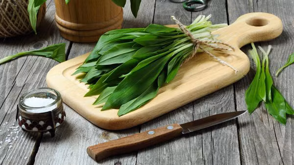 Sơ chế kĩ. Ngoài việc rửa sạch bụi đất, một số loại rau rừng còn có độc tố. Đáng nói, những độc tố này được xử lý theo cách khác nhau. Chẳng hạn, tỏi núi, rau khoai mỡ... nếu không ngâm nước có thể gây khó chịu cho người ăn.