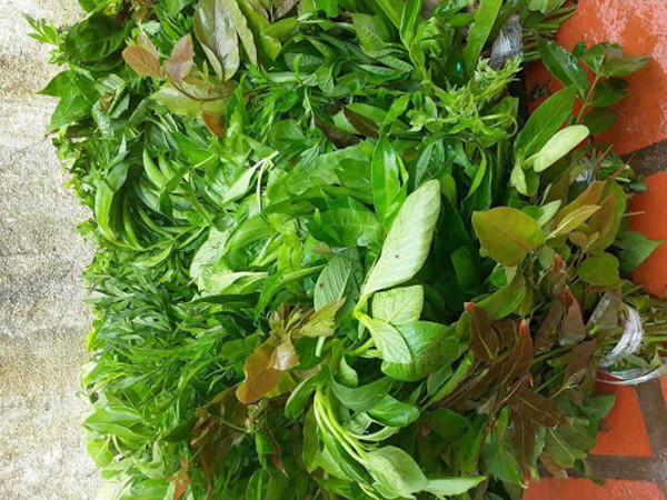 Dù rau rừng có vị lạ, chứa nhiều dưỡng chất tốt cho cơ thể song giới chuyên môn cho rằng khi ăn chúng cần đặc biệt lưu ý đến những điểm sau.