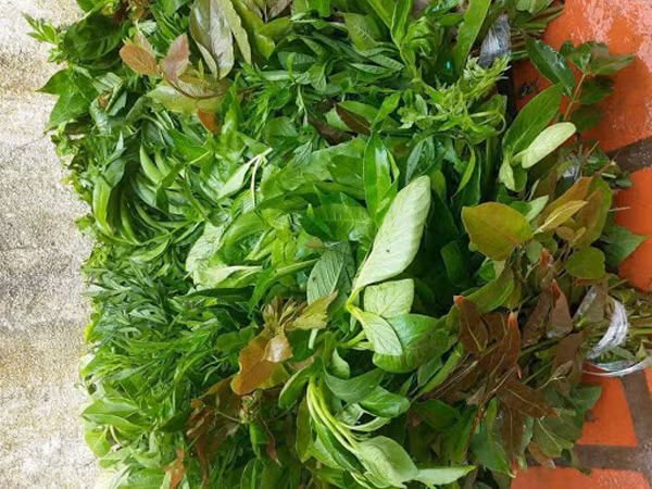 Dù rau rừng có vị lạ, chứa nhiều dưỡng chất tốt cho cơ thể song giới chuyên môn cho rằng khi ăn chúng cần đặc biệt lưu ý đến những điểm sau.