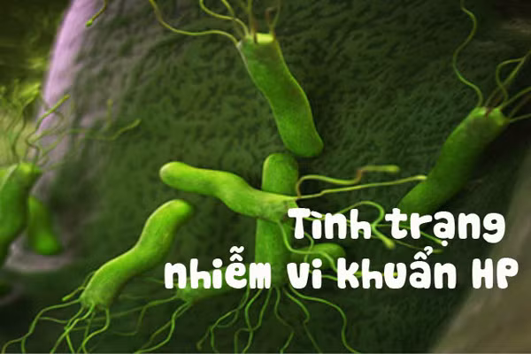 Người nhiễm khuẩn H.P cũng dễ đối diện với căn bệnh. Ở đó, vi khuẩn H.P (Helicobacter pylori) sống trong dạ dày, dưới lớp nhầy niêm mạc dạ dày, sát cạnh các tế bào biểu mô, không xâm nhập các mô. H.P sống được trong môi trường axit ở dạ dày vì nó đòi hỏi ôxy ở mức độ rất thấp và sản xuất ra nhiều urease, urease sẽ chuyển ure thành amoniac làm cho môi trường sinh sống của HP trở thành kiềm.